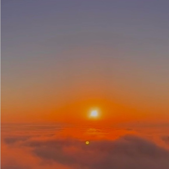 LIVE LISTING!!! - Picture 2 of 7